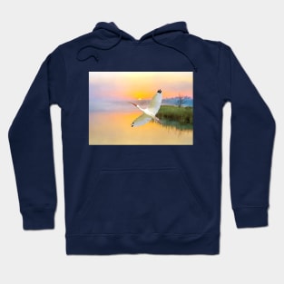 White American Ibis Bird in Flight Hoodie